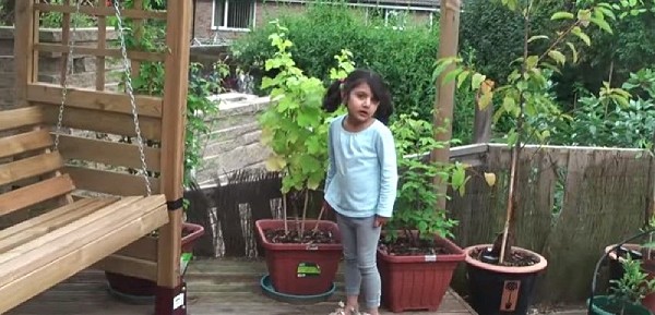 kid friendly garden