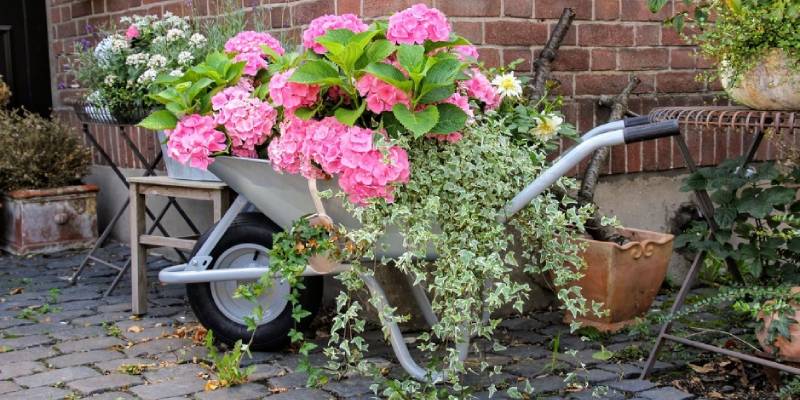 wheelbarrow gardening