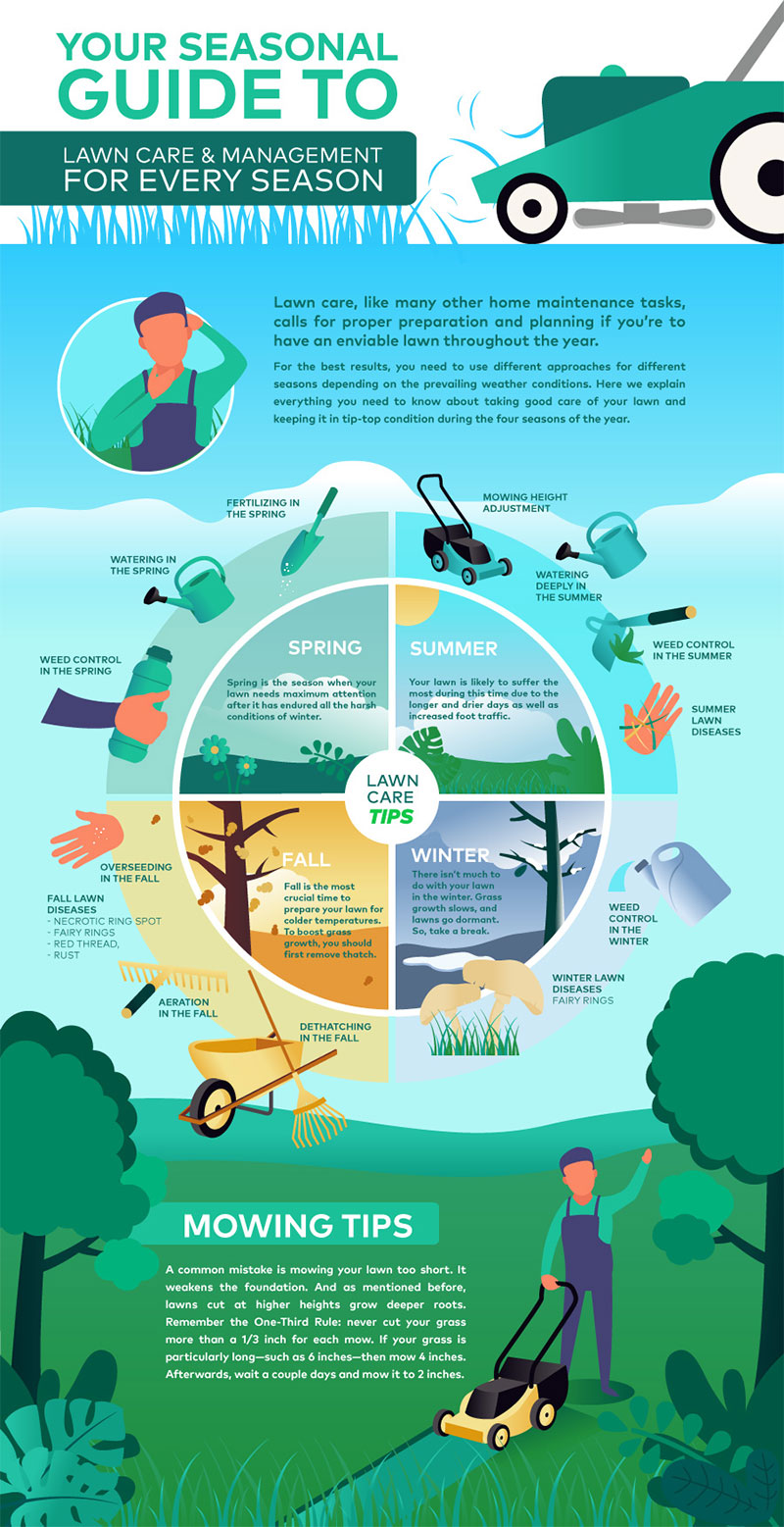 lawn care infographic