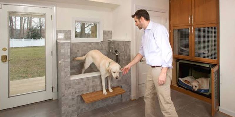 making your home pet friendly