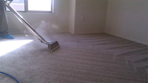 Steam cleaner