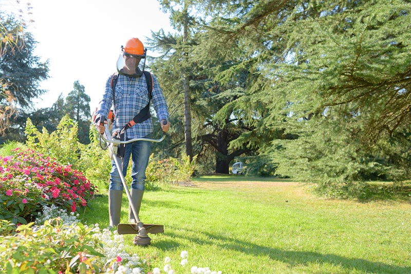 landscaping